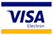 visa-electron logo